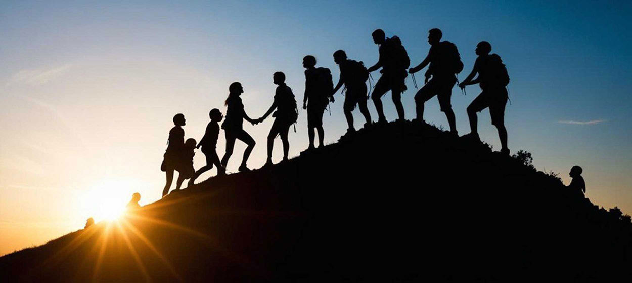 Building a professional team for business success